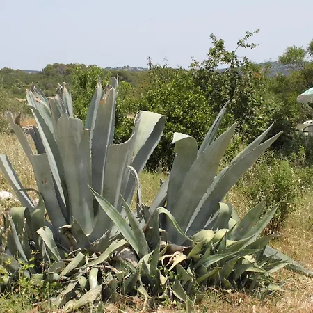 Studio 8108a Διαμέρισμα Božava