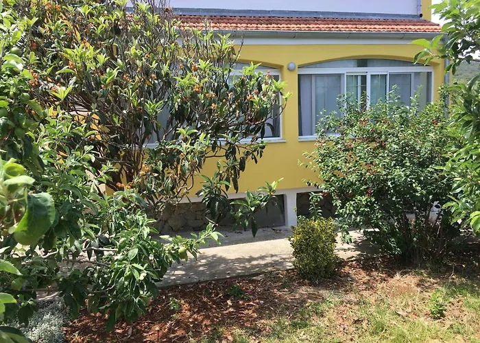 Studio 8108a Božava