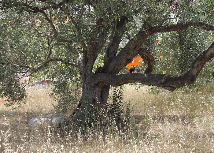 Studio 8108a * Božava